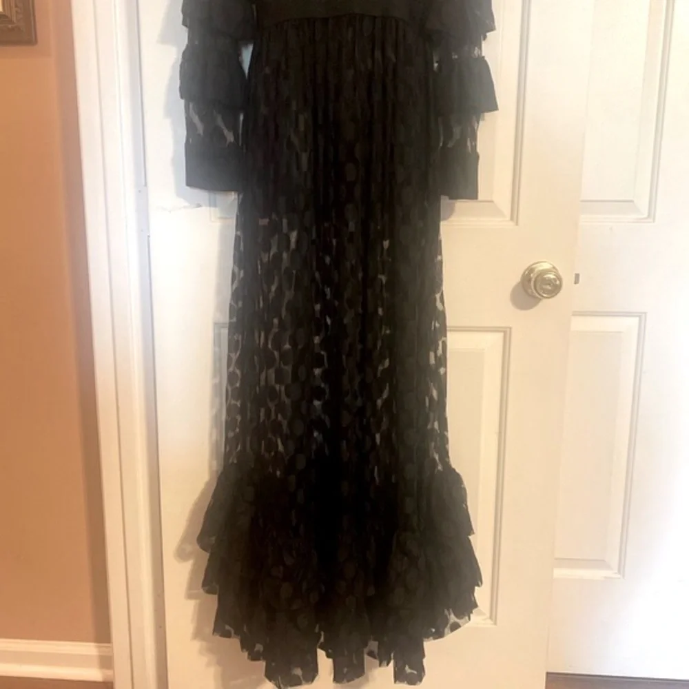 SHEER MESH POLKA DOT TIERED RUFFLE DRESS - Picture 9 of 15